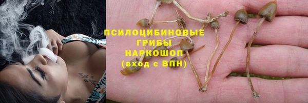 гидропоника Абаза