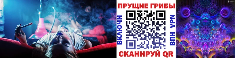 Псилоцибиновые грибы GOLDEN TEACHER  ссылка на мегу как войти  Задонск 